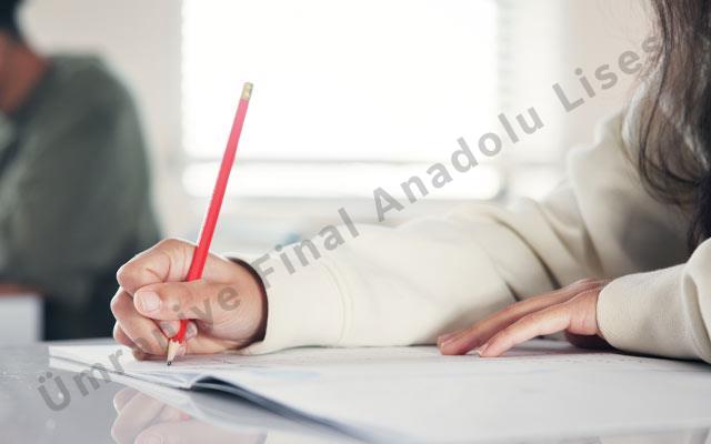 YKS Ye Nasıl Çalışılır?